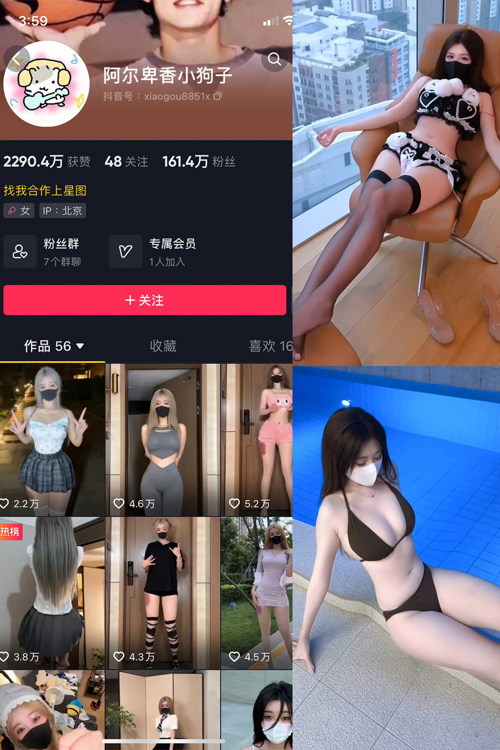 抖音 阿尔卑香小狗子 微密圈  NO.062期 【8V】最新至:2025.5.22-优图写真